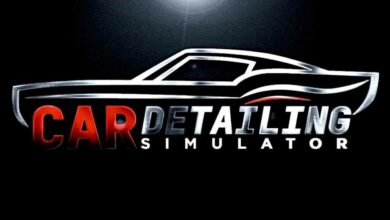 Car Detailing Simulator Free Downlaod v1.001.66