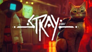 Stray Free Download