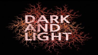 DarkAndLight Free Download